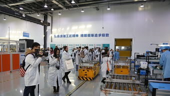 近950萬殘疾人持證上崗，多措并舉助力融入社會